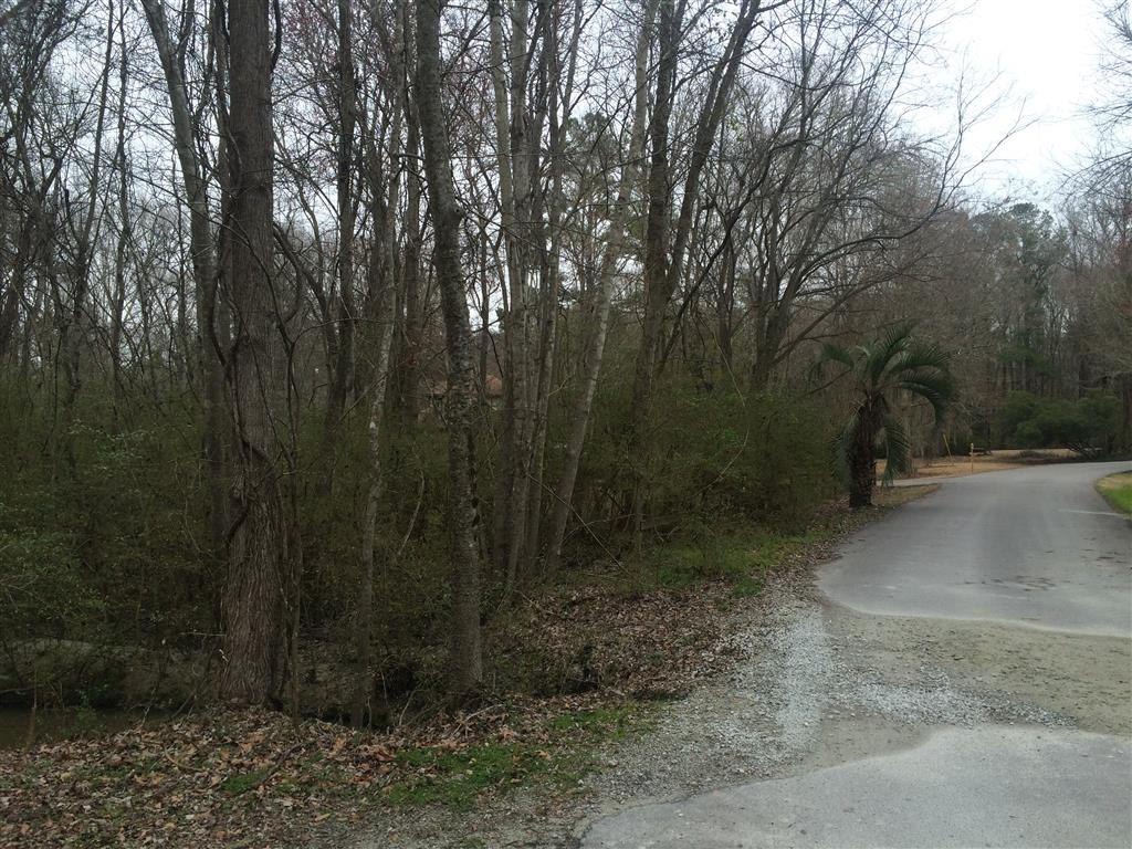 412 Huntington Road Summerville, SC 29483 - Photo 6 of 8 006 (Medium)