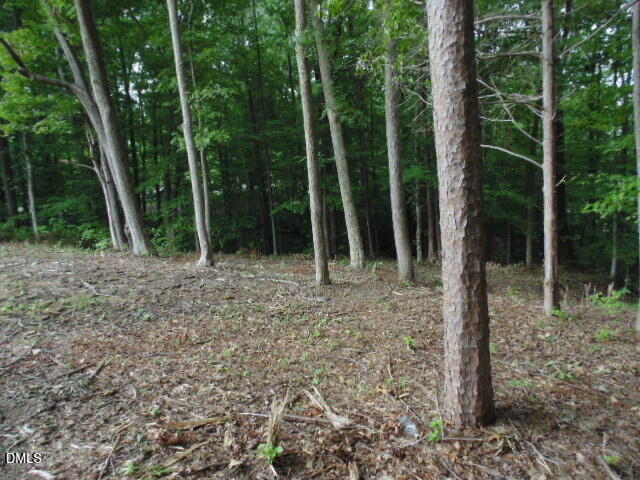 0 Kerr Lake Road Henderson, NC 27537 - Photo 22 of 22 DSC07073