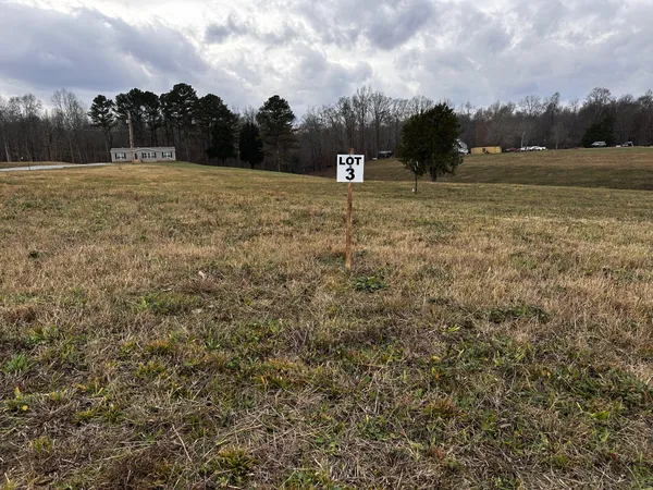 a view of dirt field with trees