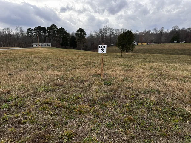 a view of dirt field with trees