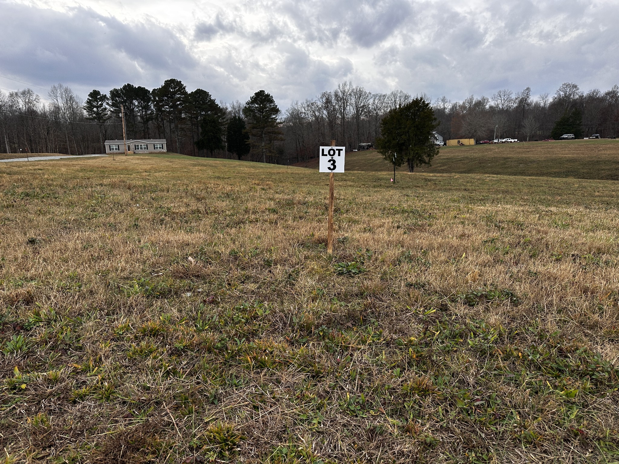 a view of dirt field with trees