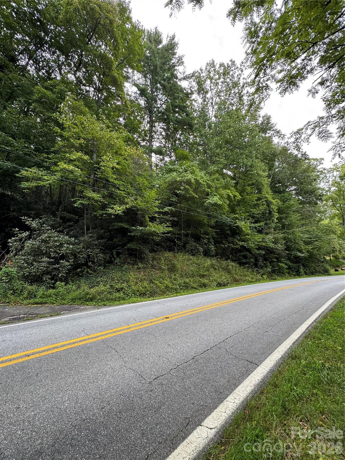 0 Wilson Road Brevard, NC 28712 - Photo 2 of 41 Gallery Image 2