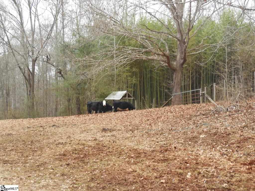 110 Griffin Mill Road Piedmont, SC 29673 - Photo 25 of 25 Gallery Image 25
