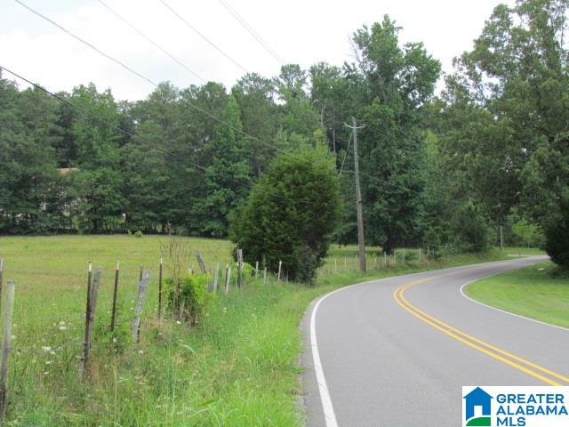 0 Old Springville Road Odenville, AL 35120 - Photo 4 of 4