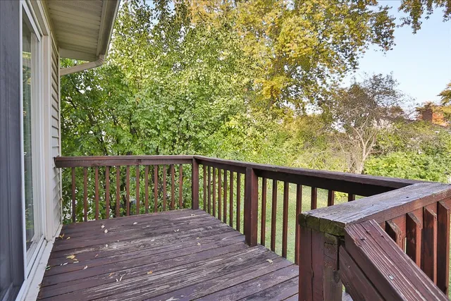 a view of a backyard with table and chairs potted plants and a large tree