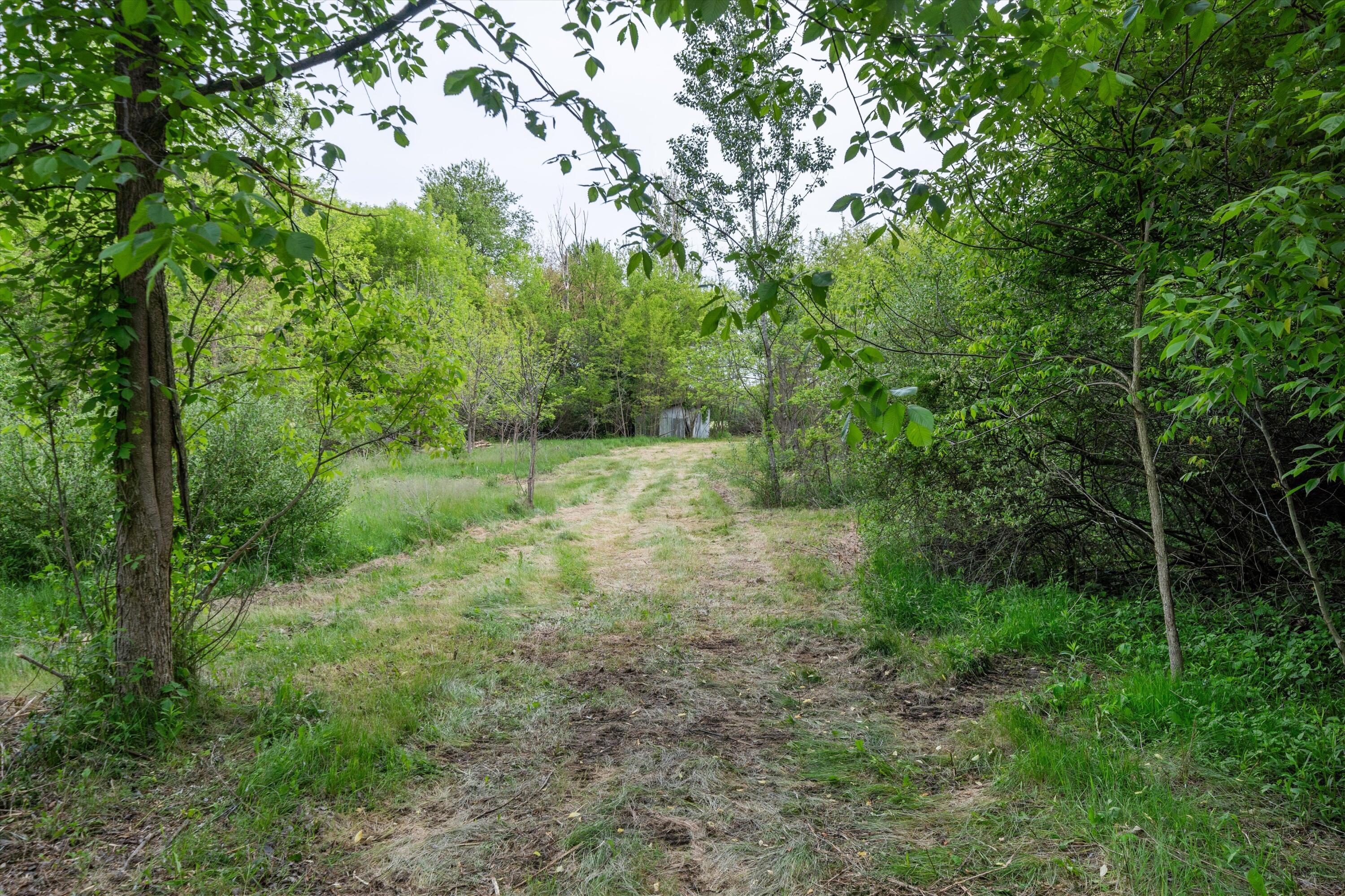 0 Jewell Road Milan, MI 48160 - Photo 59 of 63 59-DSC02361