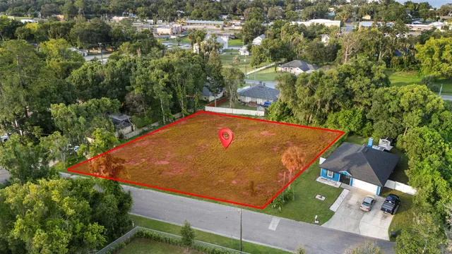 a view of a yard with plants and large trees