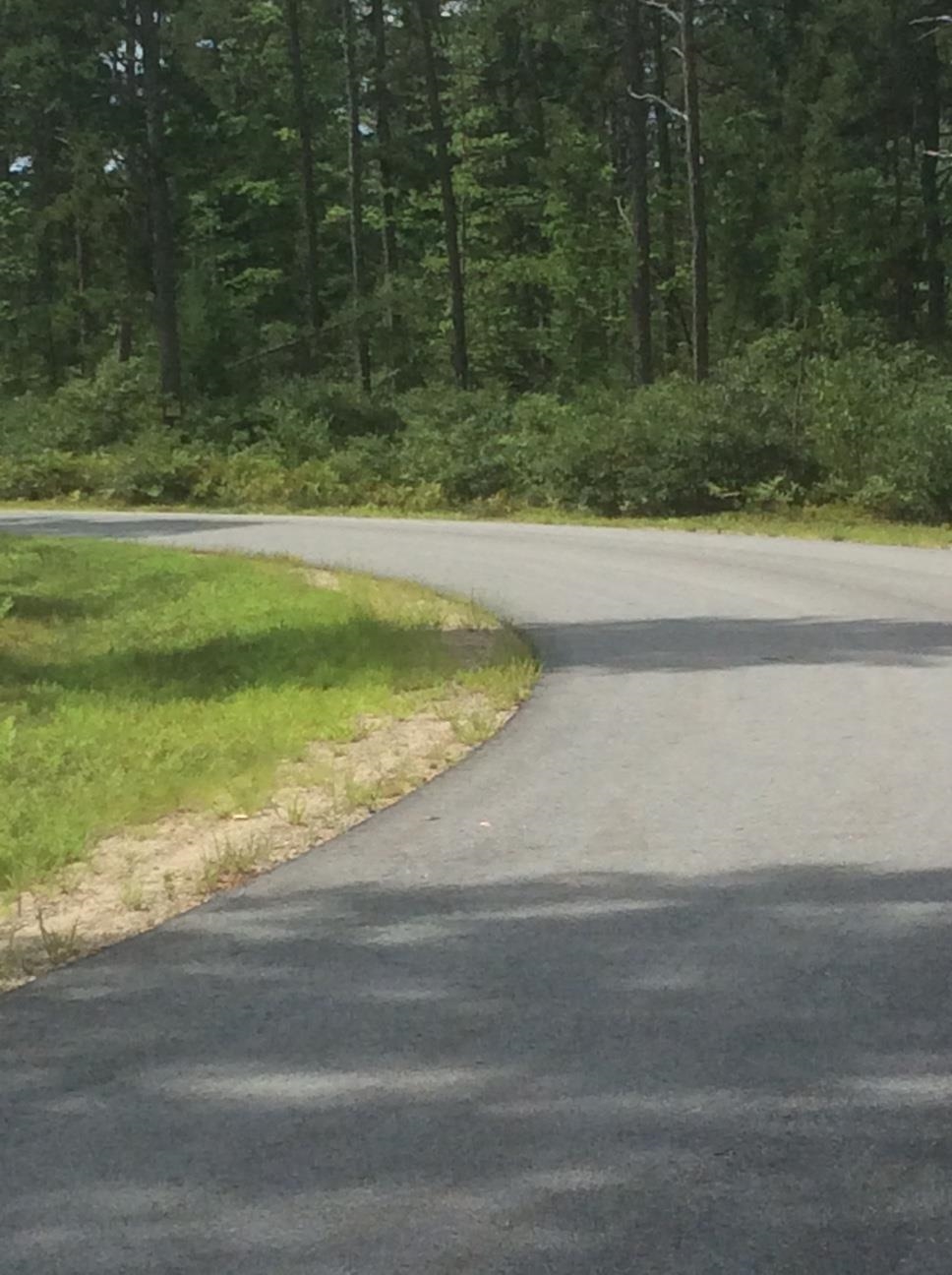 Lot 8 Friedman Lane Freedom, NH 03836 - Photo 3 of 3