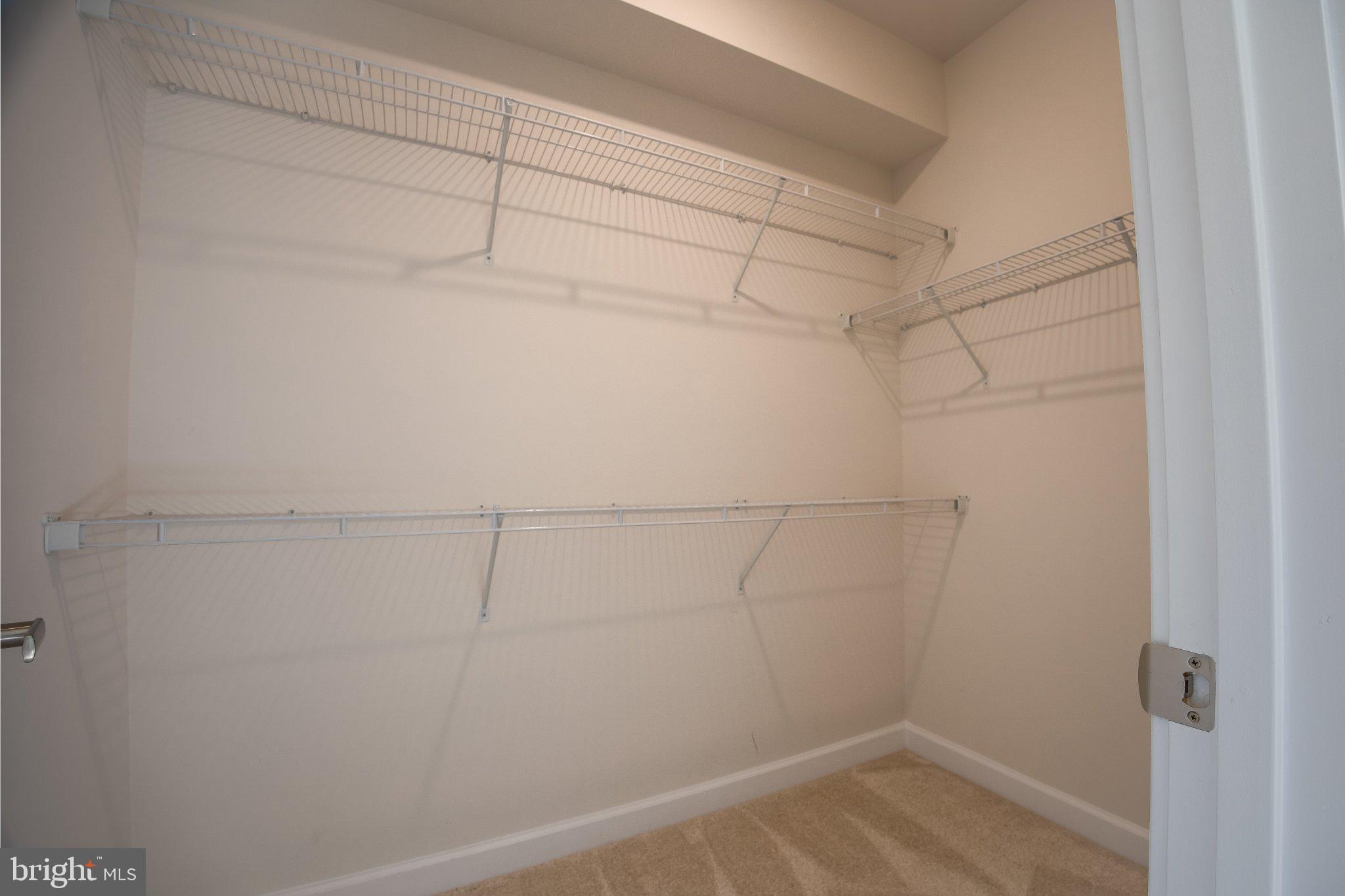 5313 8th Road South Arlington, VA 22204 - Photo 41 of 50 Spacious, versatile storage solution.