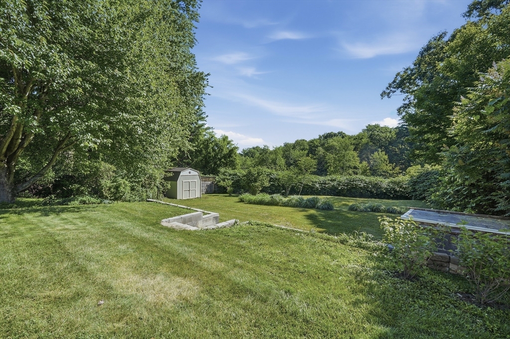 251 Shady Brook Lane Springfield, MA 01118 - Photo 25 of 32