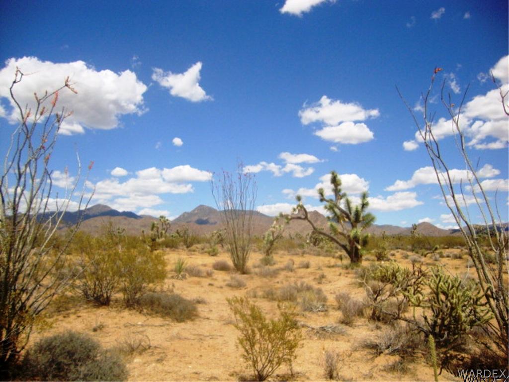 354 South Deadeye Road Yucca, AZ 86438 - Photo 1 of 29 Gallery Image 1