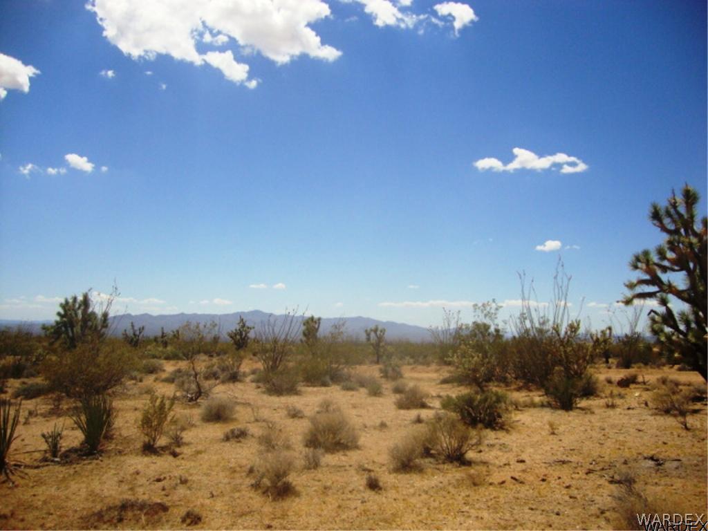 354 South Deadeye Road Yucca, AZ 86438 - Photo 11 of 29 Gallery Image 11