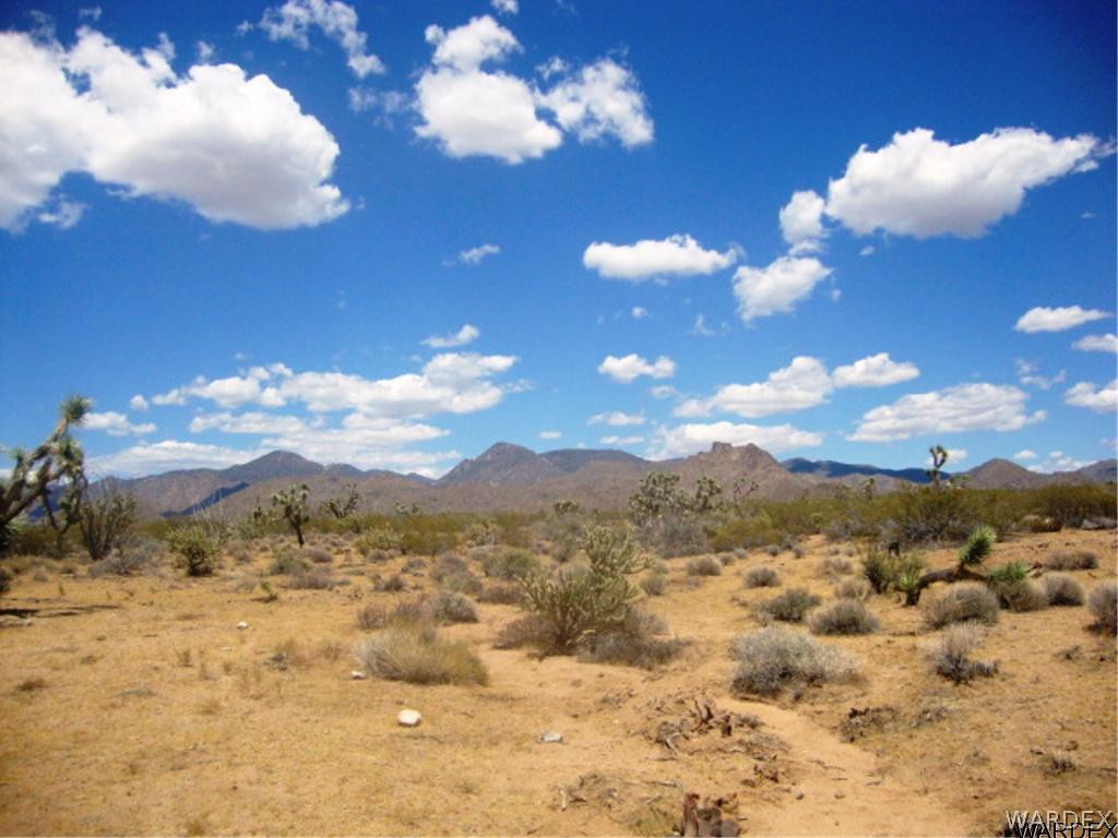 354 South Deadeye Road Yucca, AZ 86438 - Photo 14 of 29 Gallery Image 14