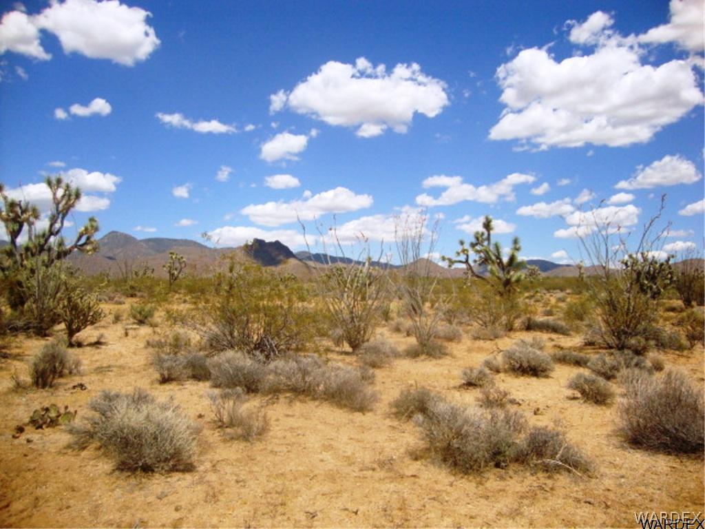 354 South Deadeye Road Yucca, AZ 86438 - Photo 15 of 29 Gallery Image 15