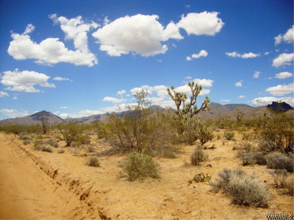 354 South Deadeye Road Yucca, AZ 86438 - Photo 16 of 29 Gallery Image 16