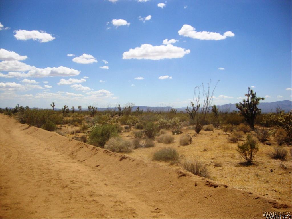 354 South Deadeye Road Yucca, AZ 86438 - Photo 17 of 29 View to west