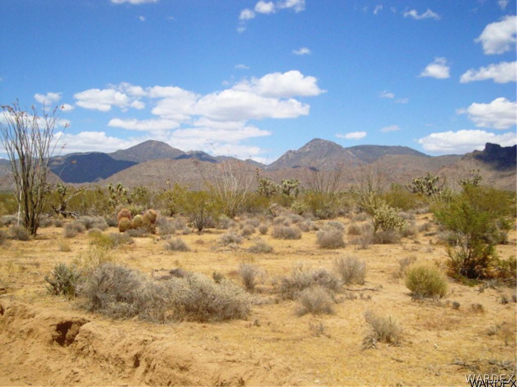 354 South Deadeye Road Yucca, AZ 86438 - Photo 20 of 29 Gallery Image 20