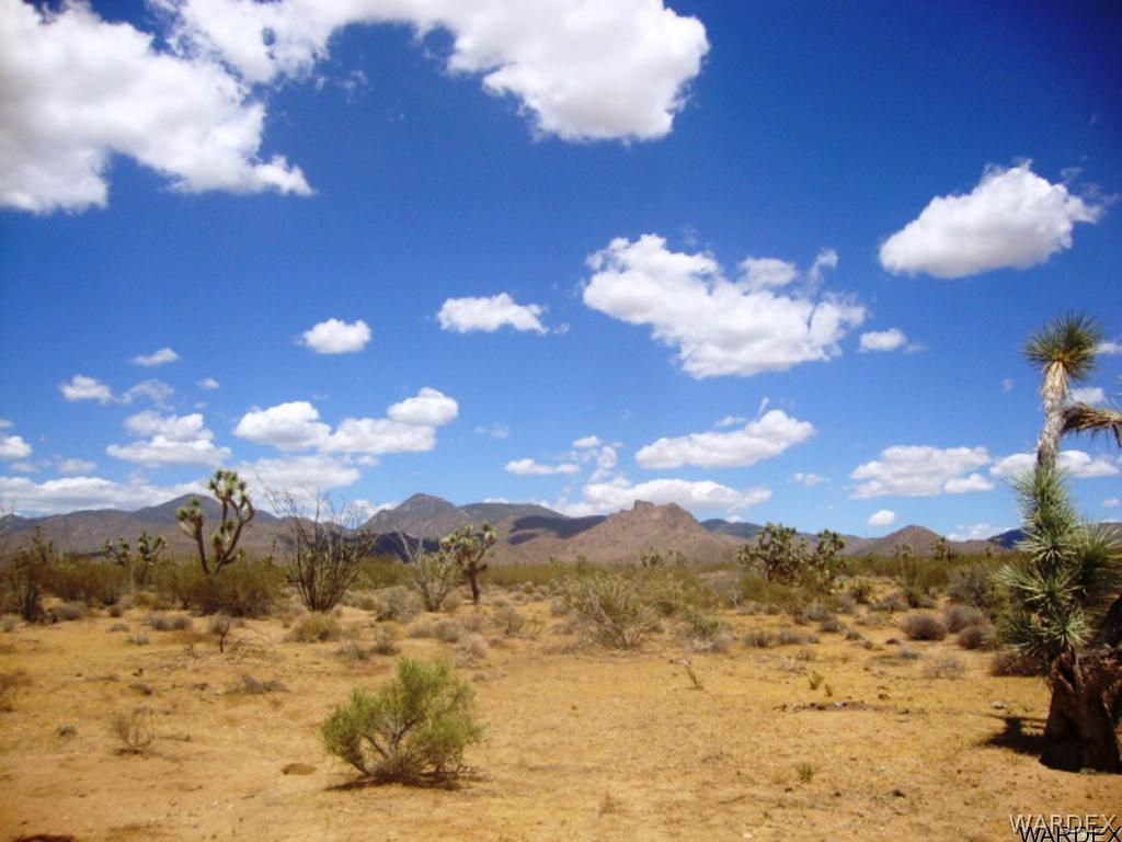 354 South Deadeye Road Yucca, AZ 86438 - Photo 2 of 29 Gallery Image 2