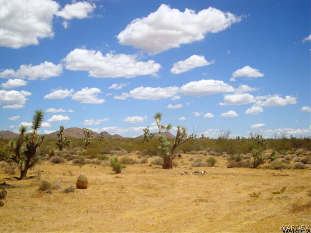 354 South Deadeye Road Yucca, AZ 86438 - Photo 22 of 29 Gallery Image 22