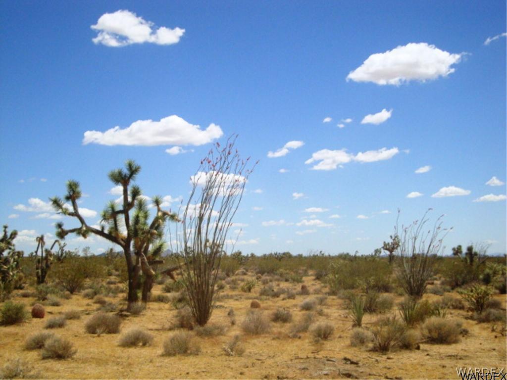 354 South Deadeye Road Yucca, AZ 86438 - Photo 23 of 29 Gallery Image 23