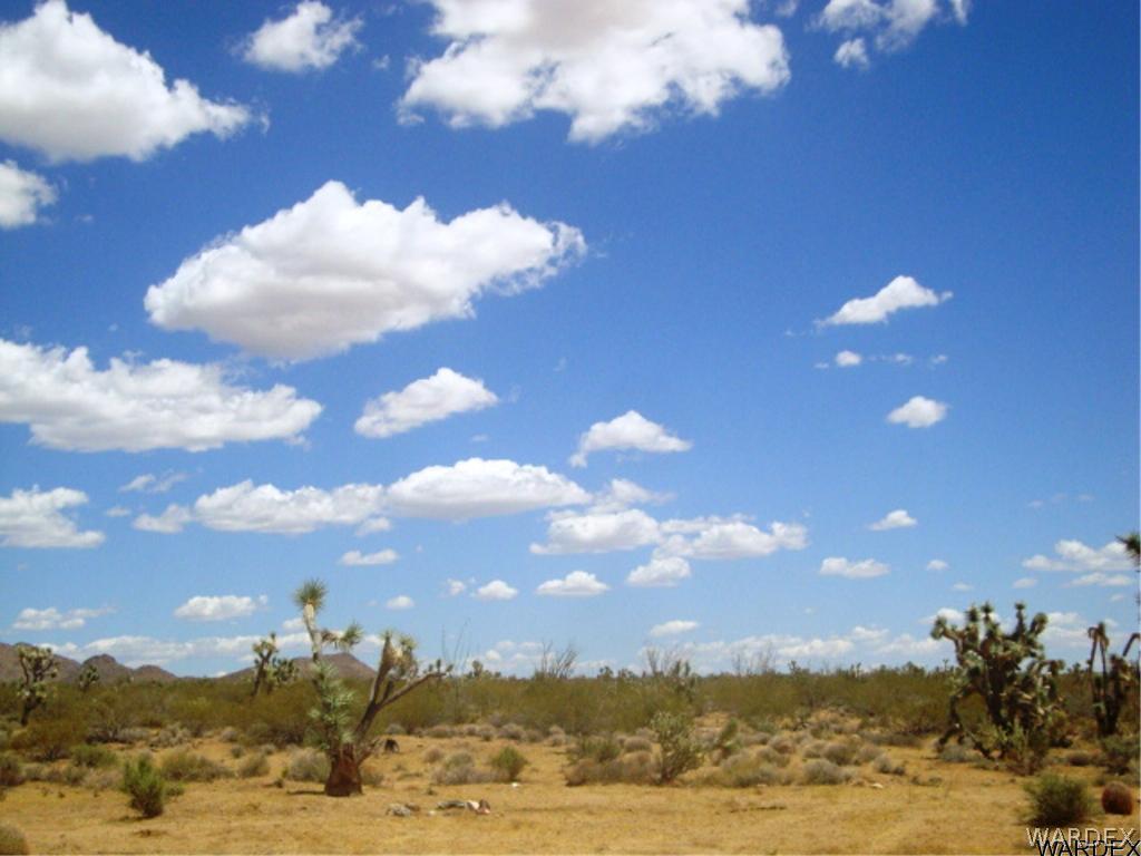 354 South Deadeye Road Yucca, AZ 86438 - Photo 24 of 29 Gallery Image 24