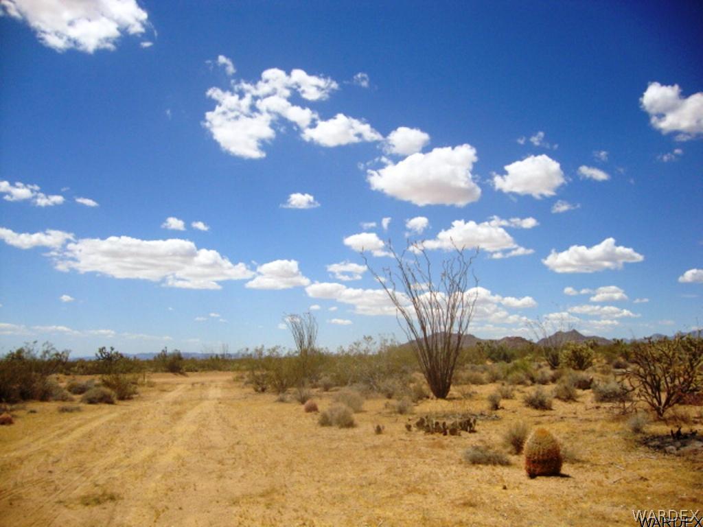 354 South Deadeye Road Yucca, AZ 86438 - Photo 4 of 29 Gallery Image 4