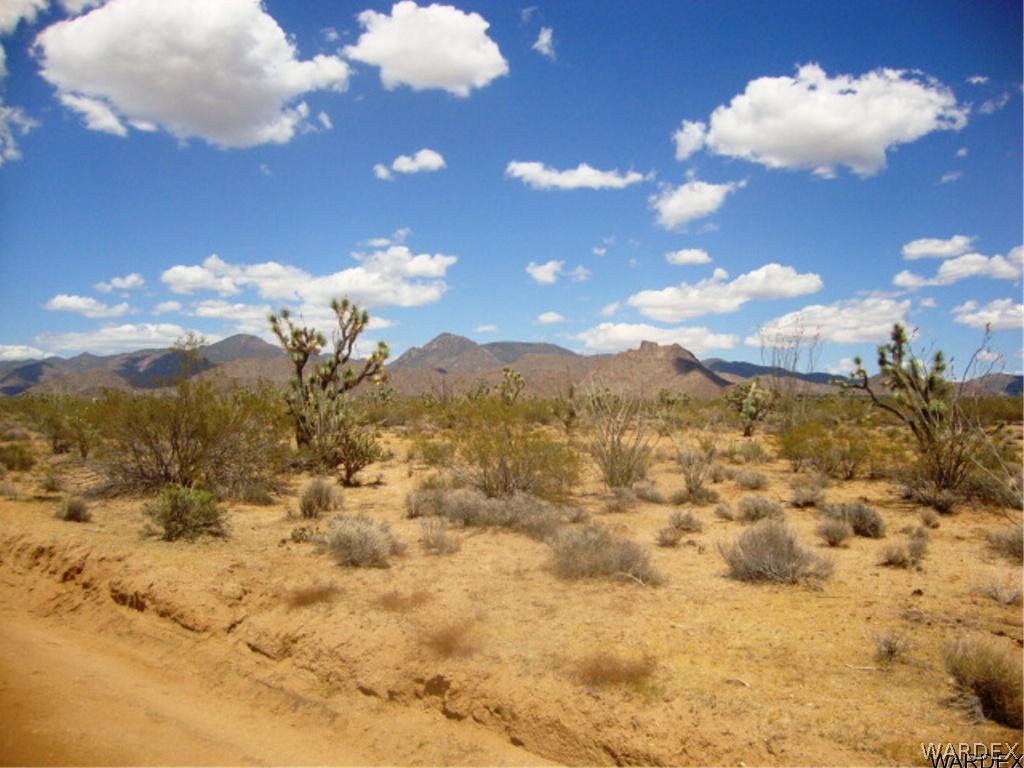 354 South Deadeye Road Yucca, AZ 86438 - Photo 6 of 29 Gallery Image 6