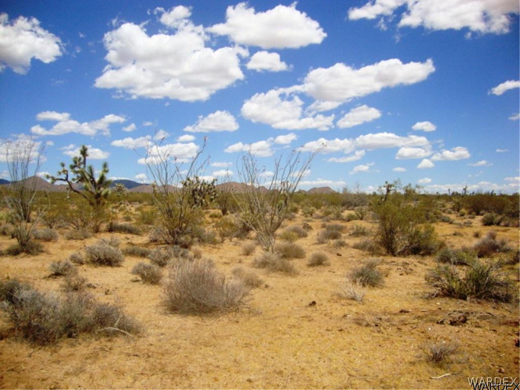 354 South Deadeye Road Yucca, AZ 86438 - Photo 7 of 29 Gallery Image 7
