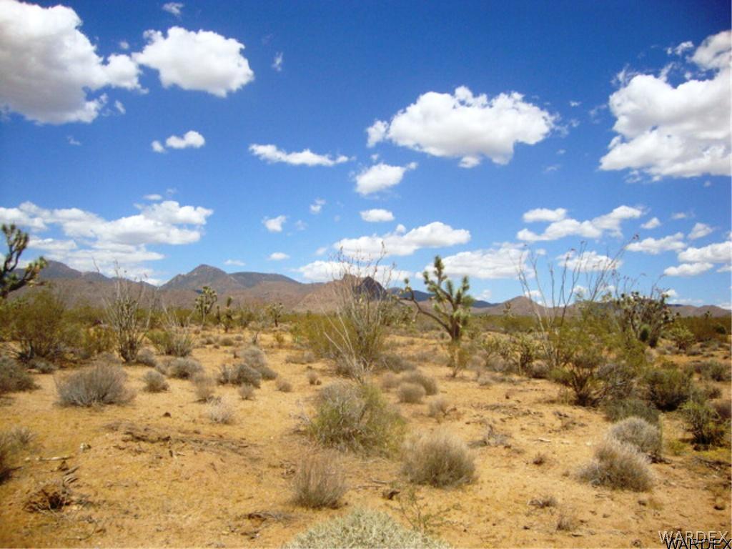 354 South Deadeye Road Yucca, AZ 86438 - Photo 8 of 29 Gallery Image 8