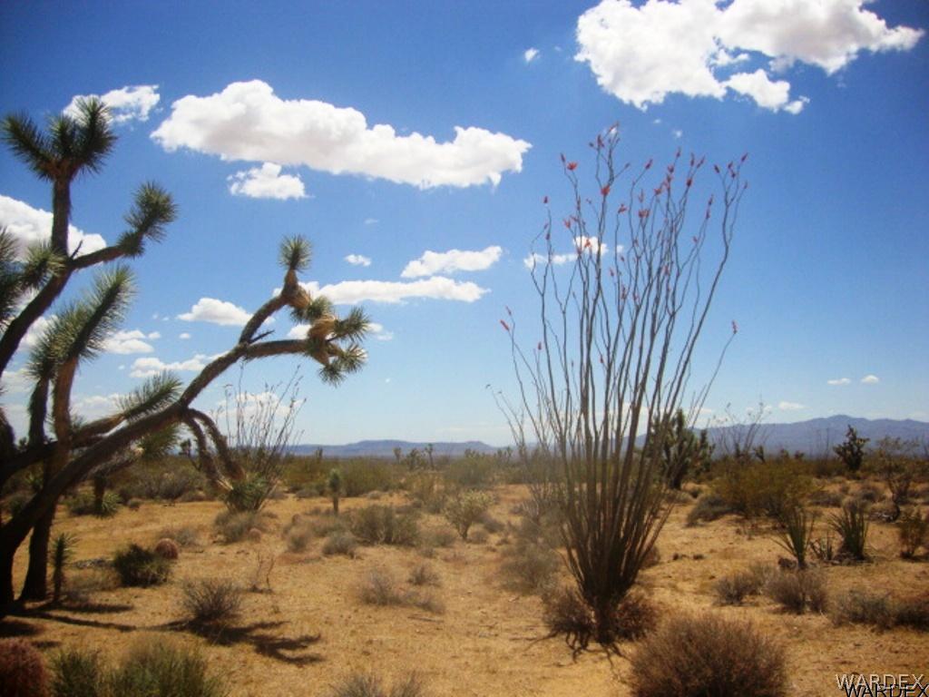 354 South Deadeye Road Yucca, AZ 86438 - Photo 10 of 29 Gallery Image 10