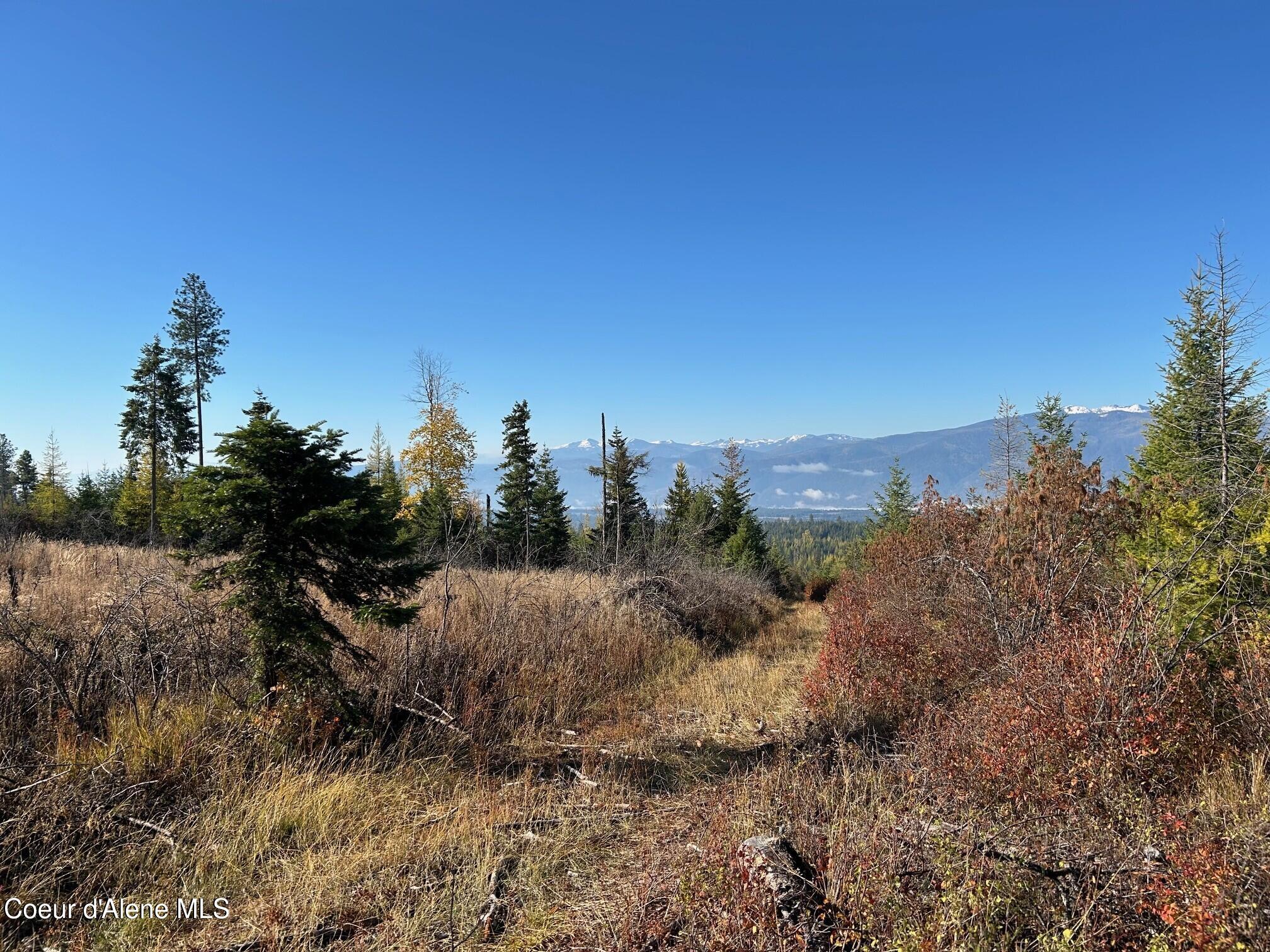 2222a Bonners Ferry Bonners Ferry, ID 83805 - Photo 2 of 8 4