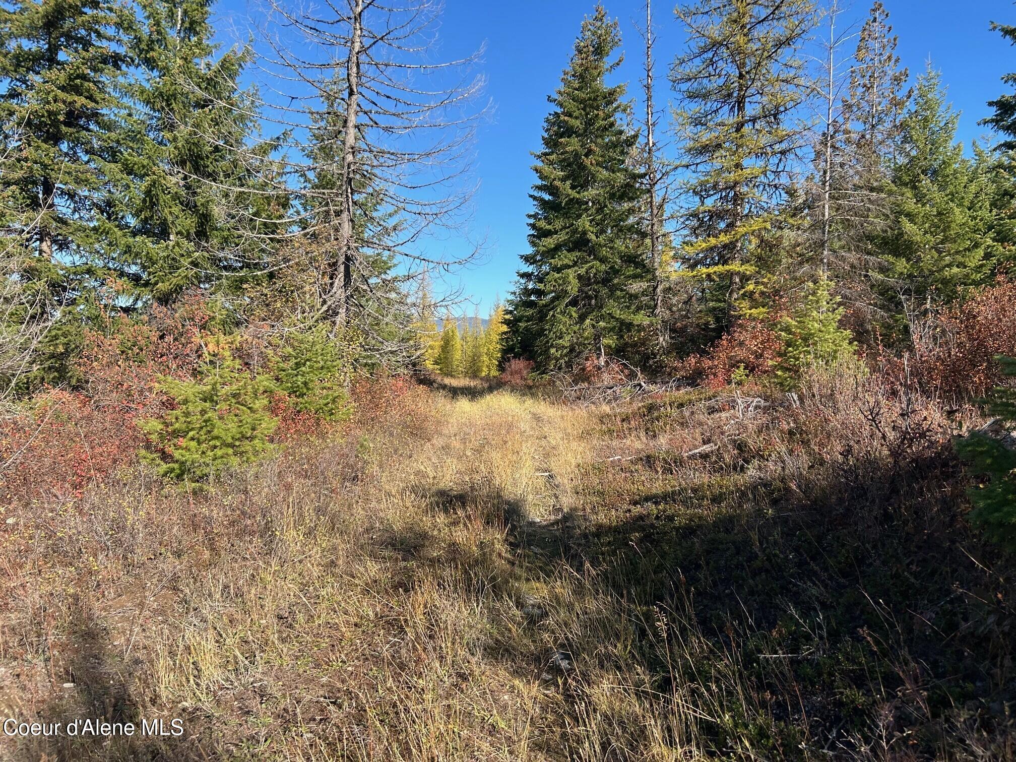 2222a Bonners Ferry Bonners Ferry, ID 83805 - Photo 3 of 8 8