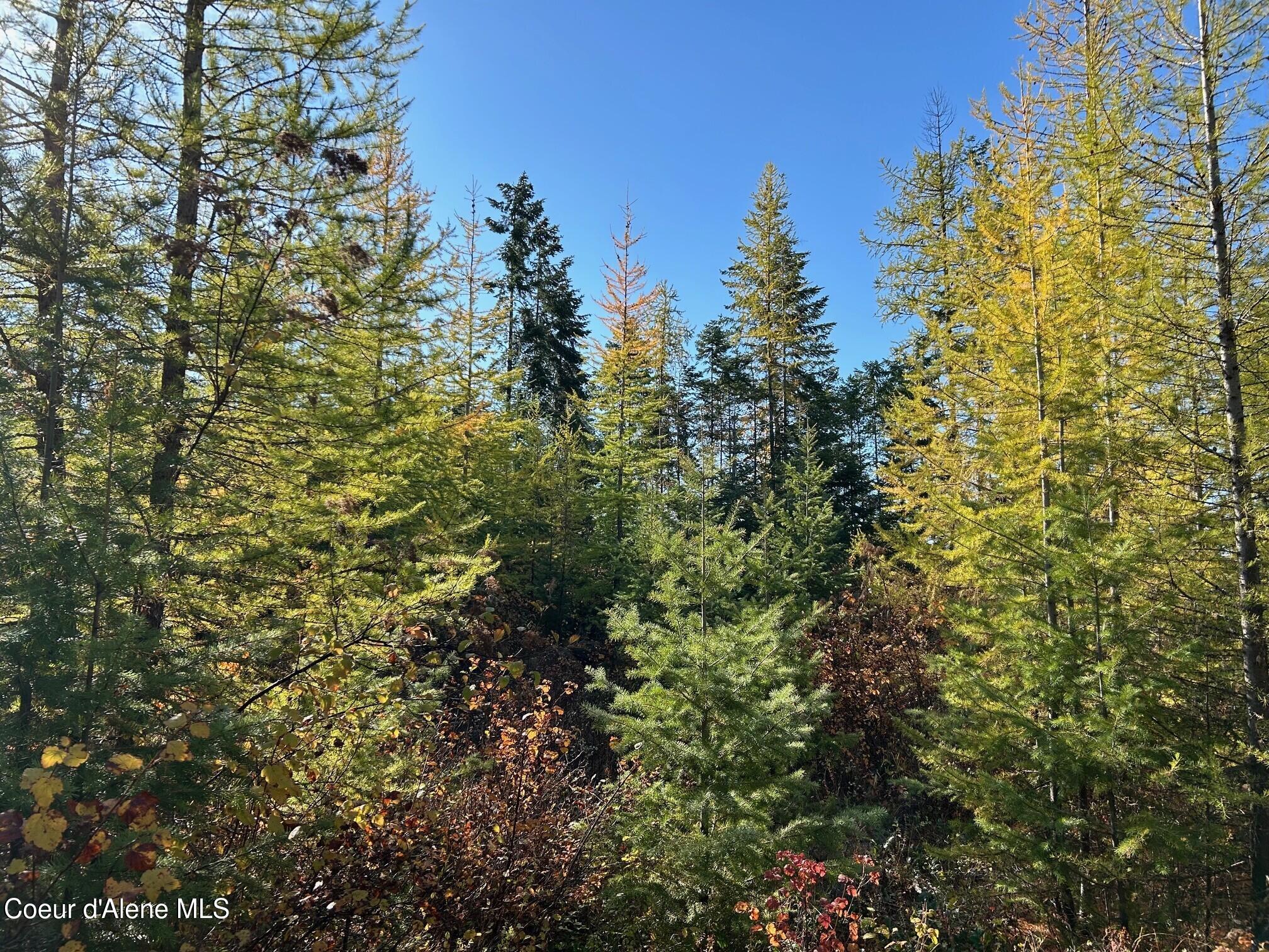2222a Bonners Ferry Bonners Ferry, ID 83805 - Photo 5 of 8 3