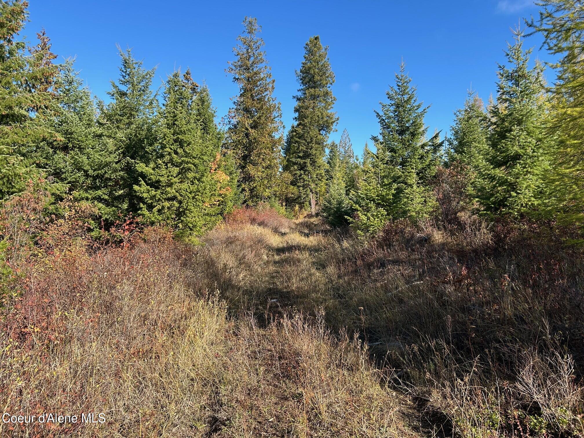 2222a Bonners Ferry Bonners Ferry, ID 83805 - Photo 6 of 8 6