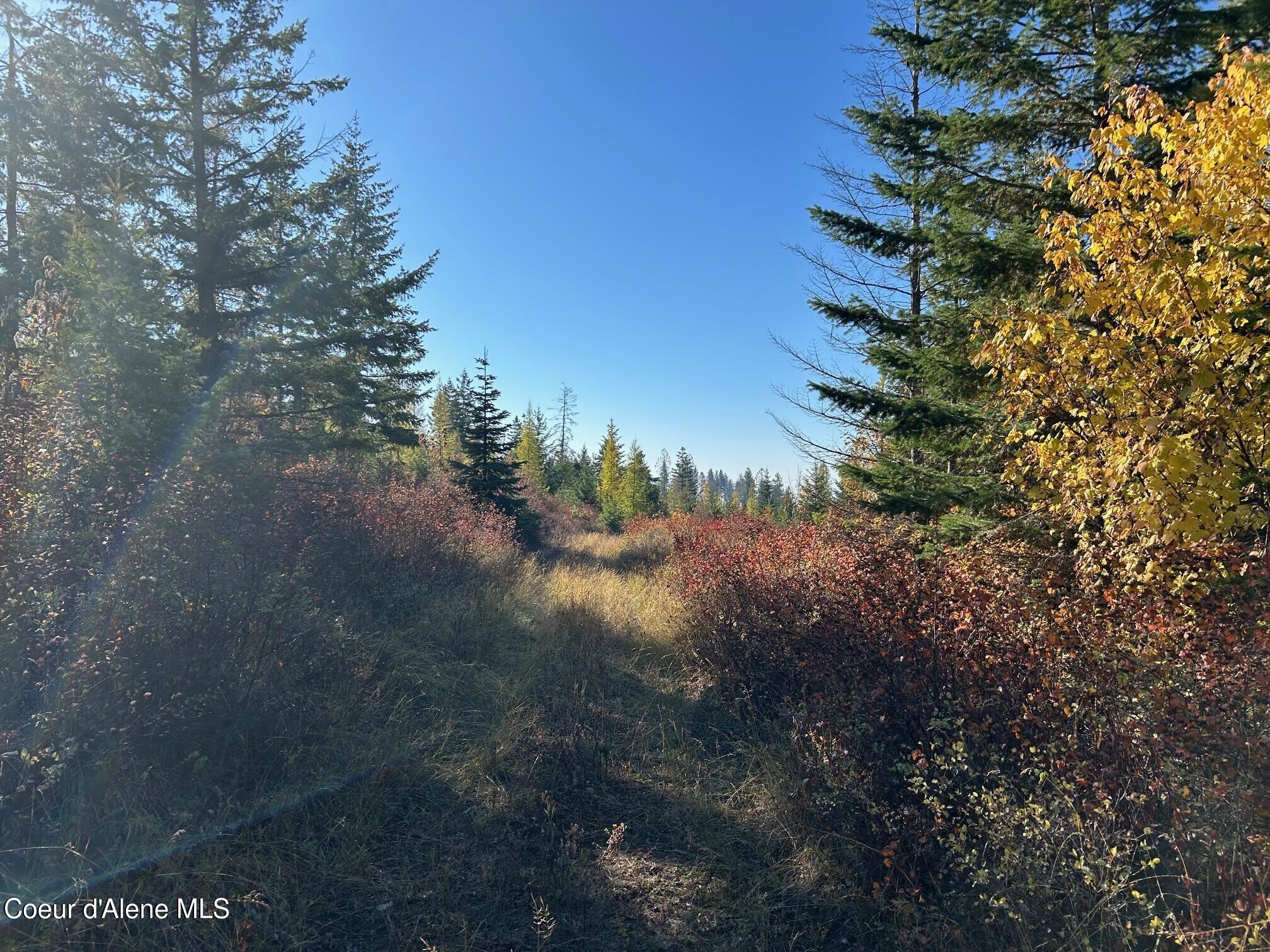 2222a Bonners Ferry Bonners Ferry, ID 83805 - Photo 7 of 8 7
