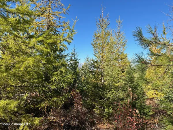$380,000 | 2222a Bonners Ferry, Bonners Ferry, ID 83805