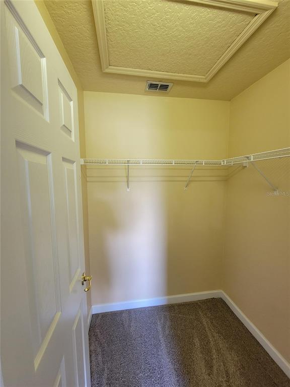 3145 Twisted Oak Loop Kissimmee, FL 34744 - Photo 84 of 93