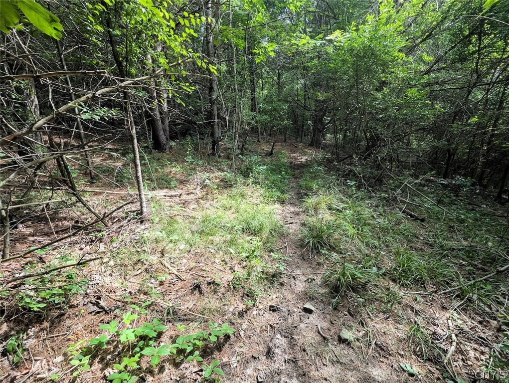 Keifer Hollow Road Dansville, NY 14437 - Photo 3 of 33