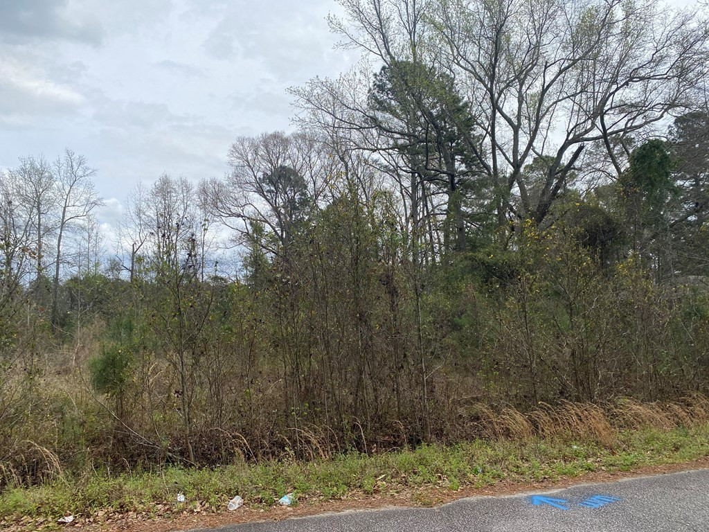 927 Rodney Road Orangeburg, SC 29115 - Photo 2 of 2 Photo 2