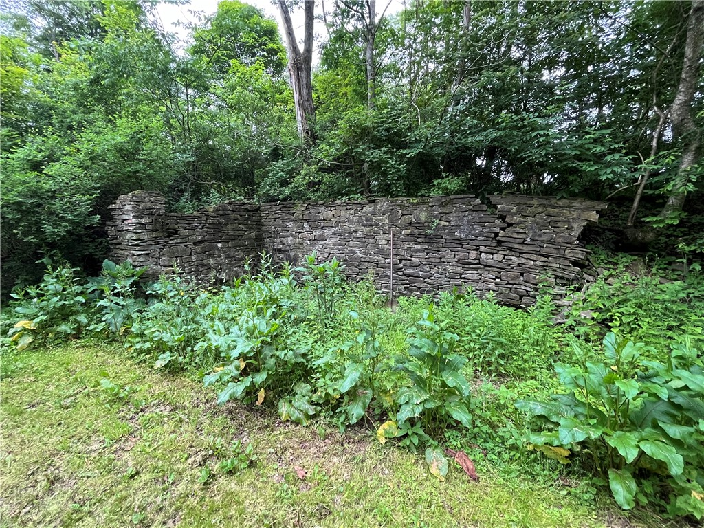 326 Park Hill Road Erin, NY 14838 - Photo 17 of 50