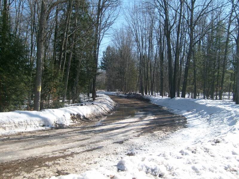 3560 Phelps Road Northeast Kalkaska, MI 49646 - Photo 77 of 89 1858386-77.JPG