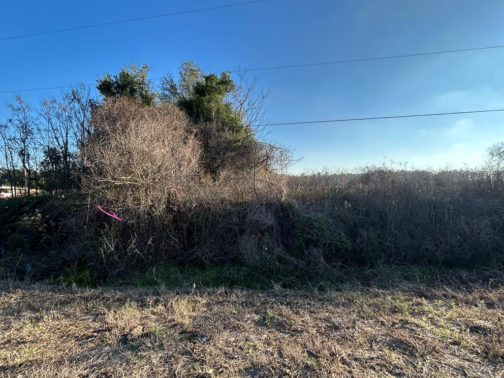 51.8-ac Hadden Road Dothan, AL 36301 - Photo 32 of 43
