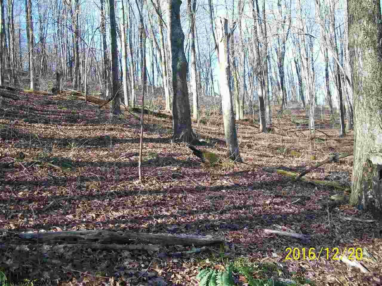 0 Salt Lick Road Montrose, WV 26283 - Photo 10 of 20 Gallery Image 10