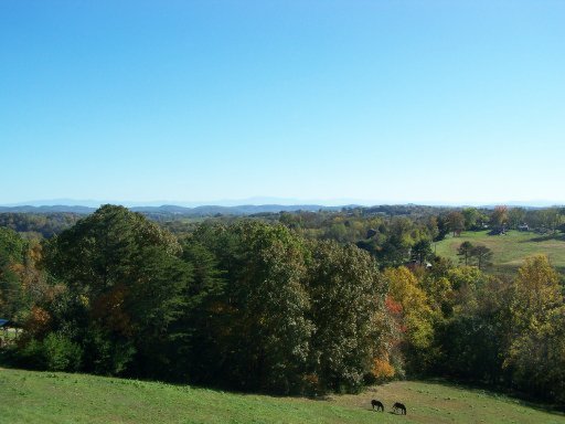 821 Mitchell Road Blaine, TN 37709 - Photo 15 of 17 Additional Photo