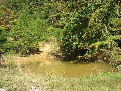 821 Mitchell Road Blaine, TN 37709 - Photo 16 of 17 Additional Photo