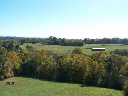 821 Mitchell Road Blaine, TN 37709 - Photo 4 of 17 Additional Photo