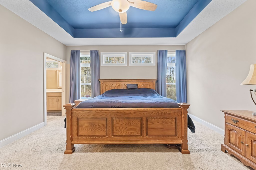 9340 Yale Road Diamond, OH 44412 - Photo 24 of 50 Carpeted primary bedroom featuring ensuite bath, a tray ceiling, and ceiling fan