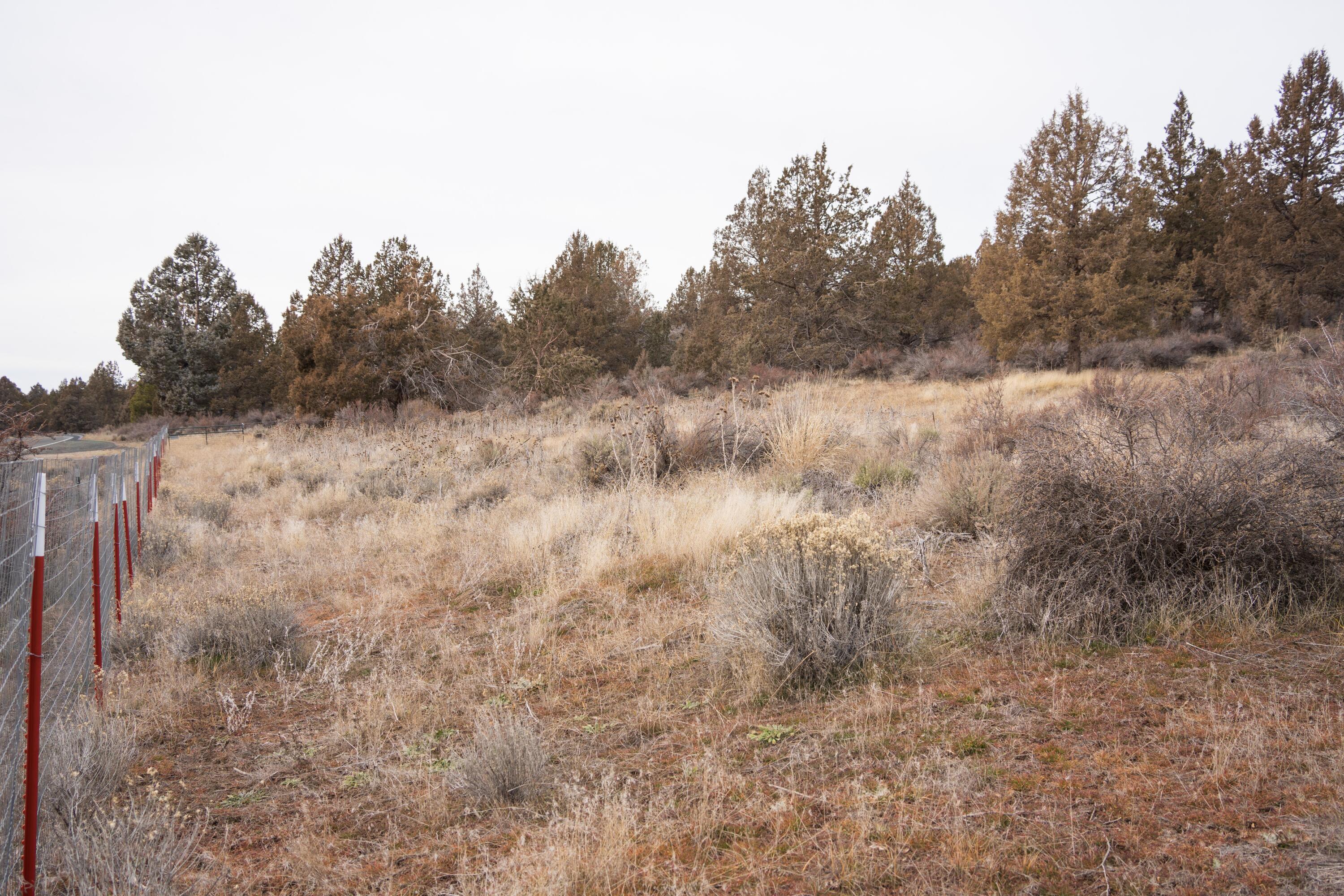 28319 Drews Road Chiloquin, OR 97624 - Photo 8 of 13