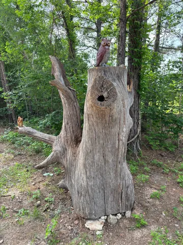 a view of outdoor space and yard