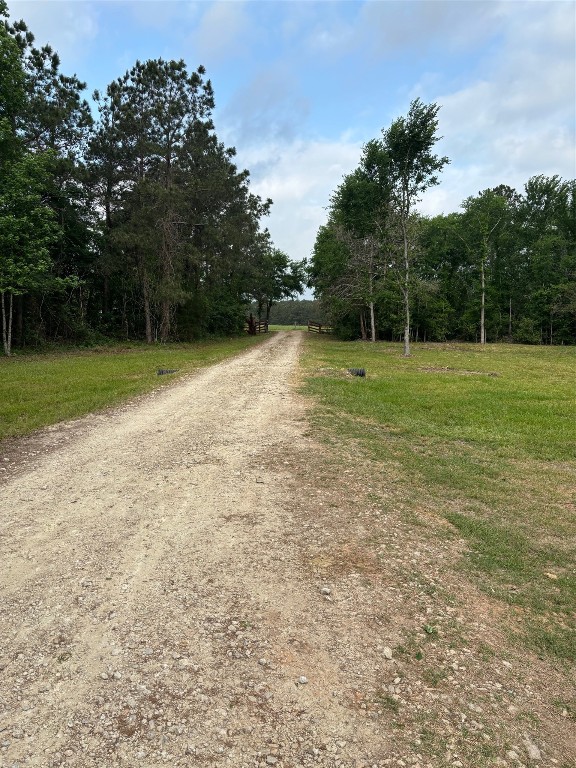 207 George Wilson Road Huntsville, TX 77320 - Photo 4 of 26 a view of outdoor space with deck and yard